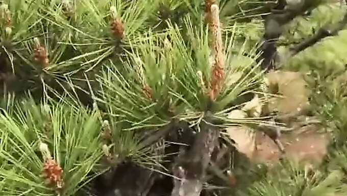 Une Chinoise Profite Du Plein Air Dans Le Parc