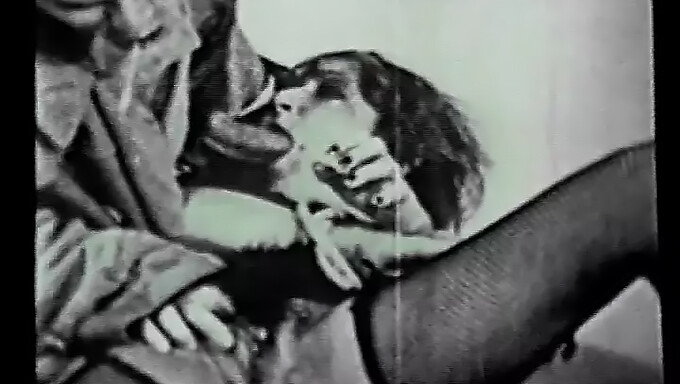 Retro Blowjob Med Største Pupper Og Intern Cumshot