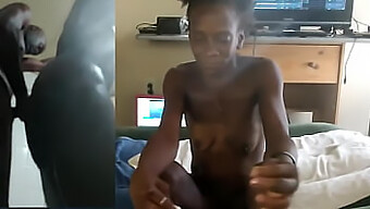 Video Fatto In Casa Di Una Coppia Amatoriale Che Si Impegna In Un Reality Fucking